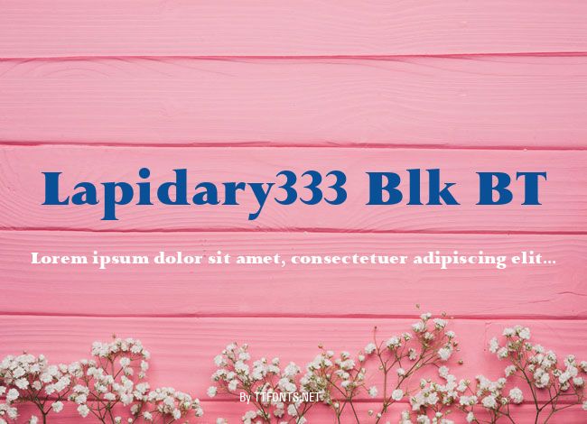 Lapidary333 Blk BT example